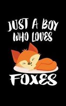 Just A Boy Who Loves Foxes
