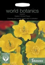 Worl Botanics - Oosterse Hoornpapaver (Dicranostigma franchetianum)