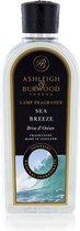Ashleigh and Burwood Lampenolie Geurolie - Sea Breeze 250ml