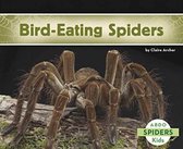 Bird-Eating Spiders