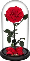 La Rose Single Red | Long Life Roos in glazenstolp | Verjaardag | Cadeau | Liefde | Woonaccessoires & decoratie