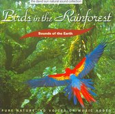 Sounds of the Earth: Birds in the Rainforest