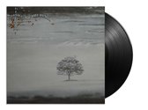 Genesis - Wind & Wuthering (LP + Download) (Reissue)