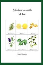 Six huiles essentielles de base