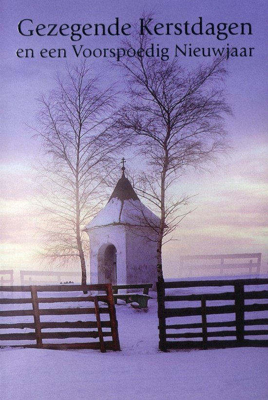 Dubbele Religieuze Kerstkaarten 10 6 stuks