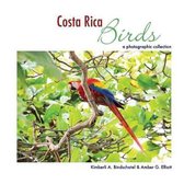 Costa Rica Birds