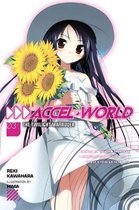 Accel World Vol 3 Novel