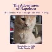 The Adventures of Napoleon