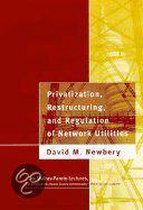 Privatization, Restructuring, and Regulation of Network Utilities