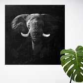 Schilderij Olifant op aluminium |  50 x 50 cm | PosterGuru.nl