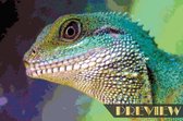 DP® Diamond Painting pakket volwassenen - Afbeelding: Chinese Water Dragon - 40 x 60 cm volledige bedekking, vierkante steentjes - 100% Nederlandse productie! - Cat.: Dieren - Reptielen & Amf
