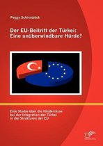 Der EU-Beitritt der Türkei: Eine unüberwindbare Hürde?