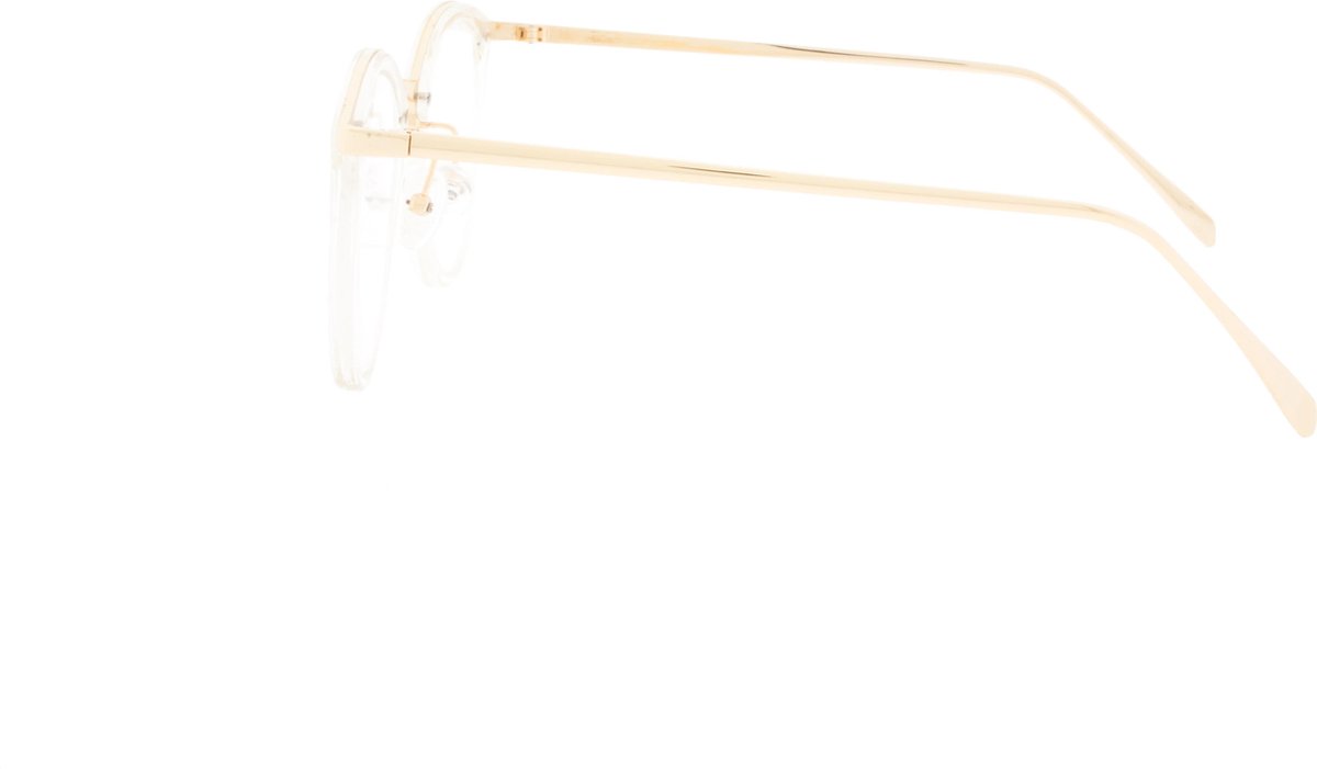 Icon Eyewear TCA353 Vernazza Leesbril +2.00 Goudkleurig frame