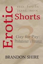 Erotic Shorts 3 - Erotic Shorts: Gay for Pay - Probationer's Penance