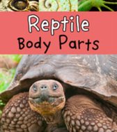 Reptile Body Parts
