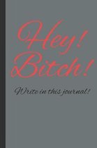 Hey! Bitch! Write in this journal!