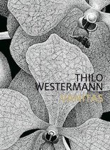 Thilo Westermann