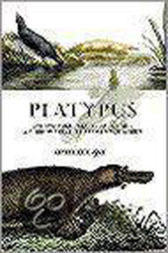 Platypus - cover