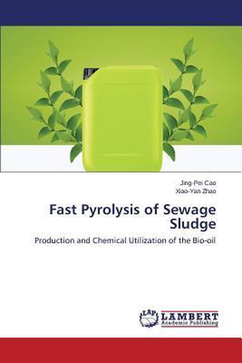Fast Pyrolysis of Sewage Sludge - Cao Jing-Pei