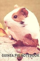 Guinea Pig Notebook