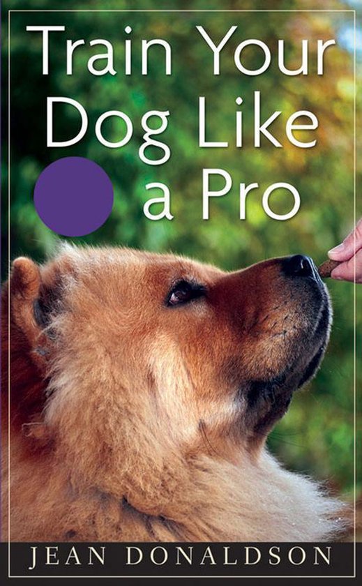 Train Your Dog Like a Pro - cover