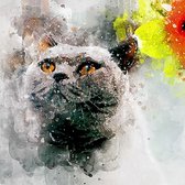 DP® Diamond Painting pakket volwassenen - Afbeelding: Aquarel Kat - 50 x 50 cm volledige bedekking, vierkante steentjes - 100% Nederlandse productie! - Cat.: Dieren - Katten