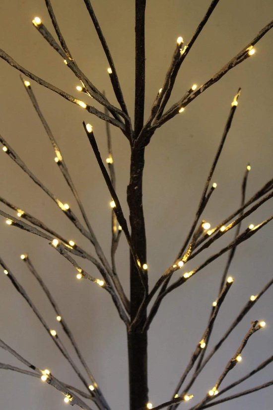 Lichttakken -Berkentwijg met besneeuwde takken - Kerstboom - 96 warm witte  LED lampjes... | bol.com