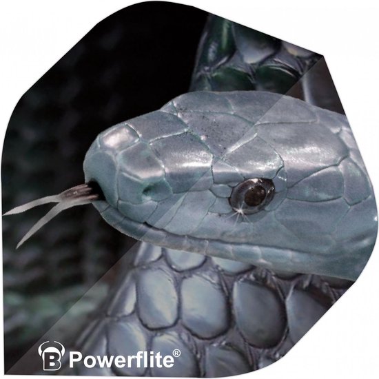 Afbeelding van het spel Bull´s Powerflight Snake 100 Micron