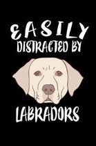 Easily Distracted By Labradors