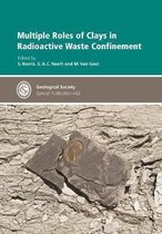 Multiple Roles of Clays in Radioactive Waste Confinement