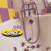 Spiders