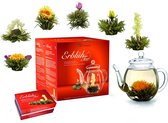 Theebloemen cadeauset - Creano Theebloemen geschenkset met glazen theekan - 6 verschillende soorten
