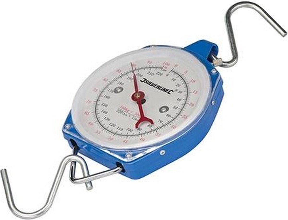 QWORK® Balance Suspendue, Balance De Valise Avec Crochet, Gris, 200 Kg