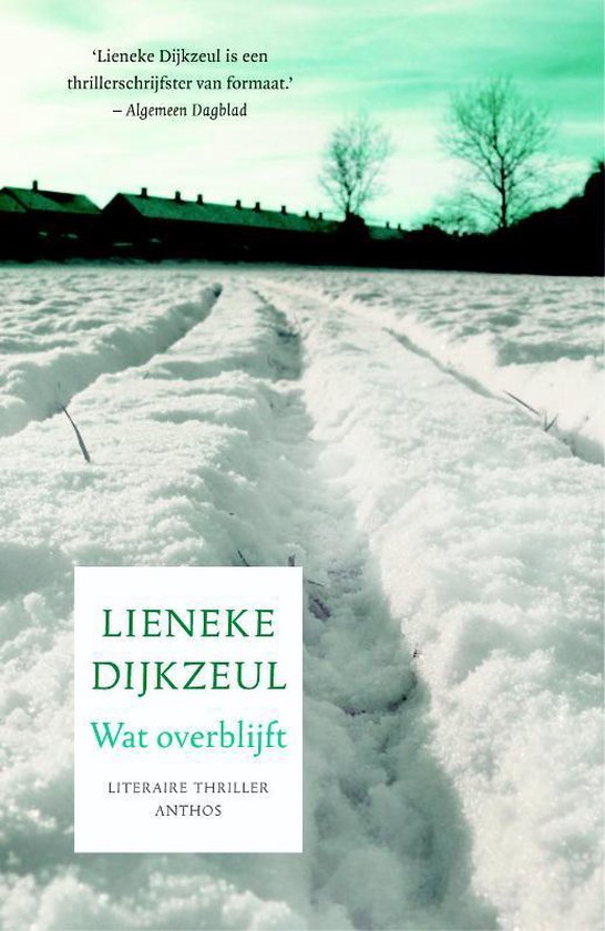 Cover van het boek 'Wat overblijft'