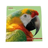 Vogel Kalender - 44x22cm - Nietjes kalender - 6 talen - Inclusief boorgaatje - 1 September 2024 t/m 31 December 2025