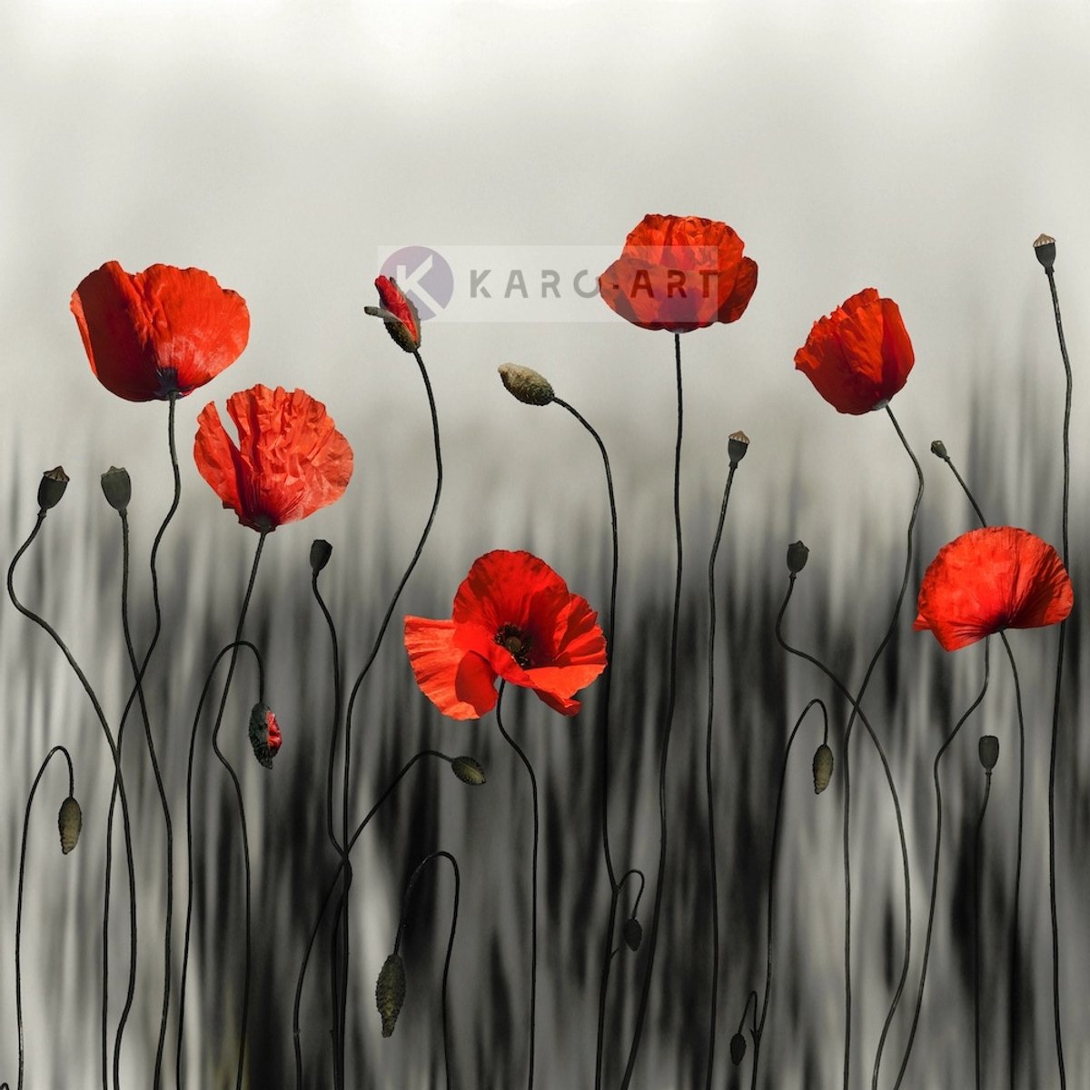 karo-art Afbeelding op acrylglas - Klaprozen, moderne kunst Multikleur