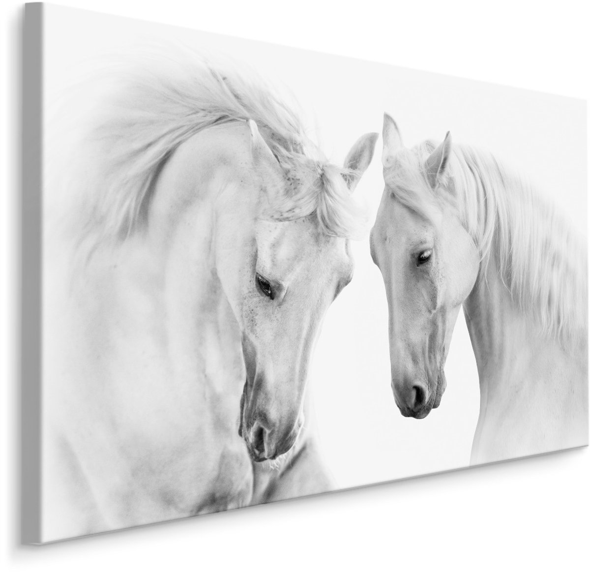 karo-art Schilderij - Twee prachtige schimmels in love, premium print Multikleur