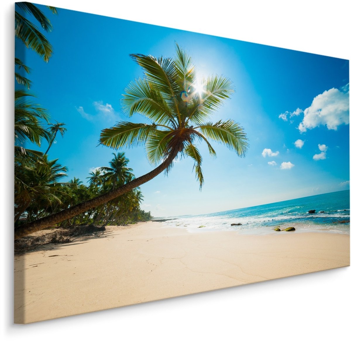 karo-art Schilderij - Strand met palmbomen, multi-gekleurd, scherpe print Multikleur
