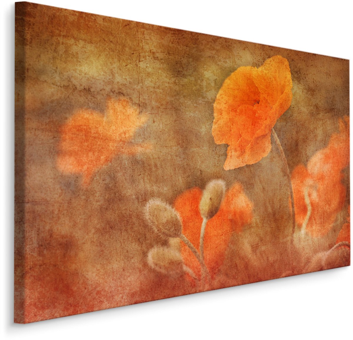 karo-art Schilderij - Vintage Klaprozen , Wanddecoratie , Premium print Multikleur