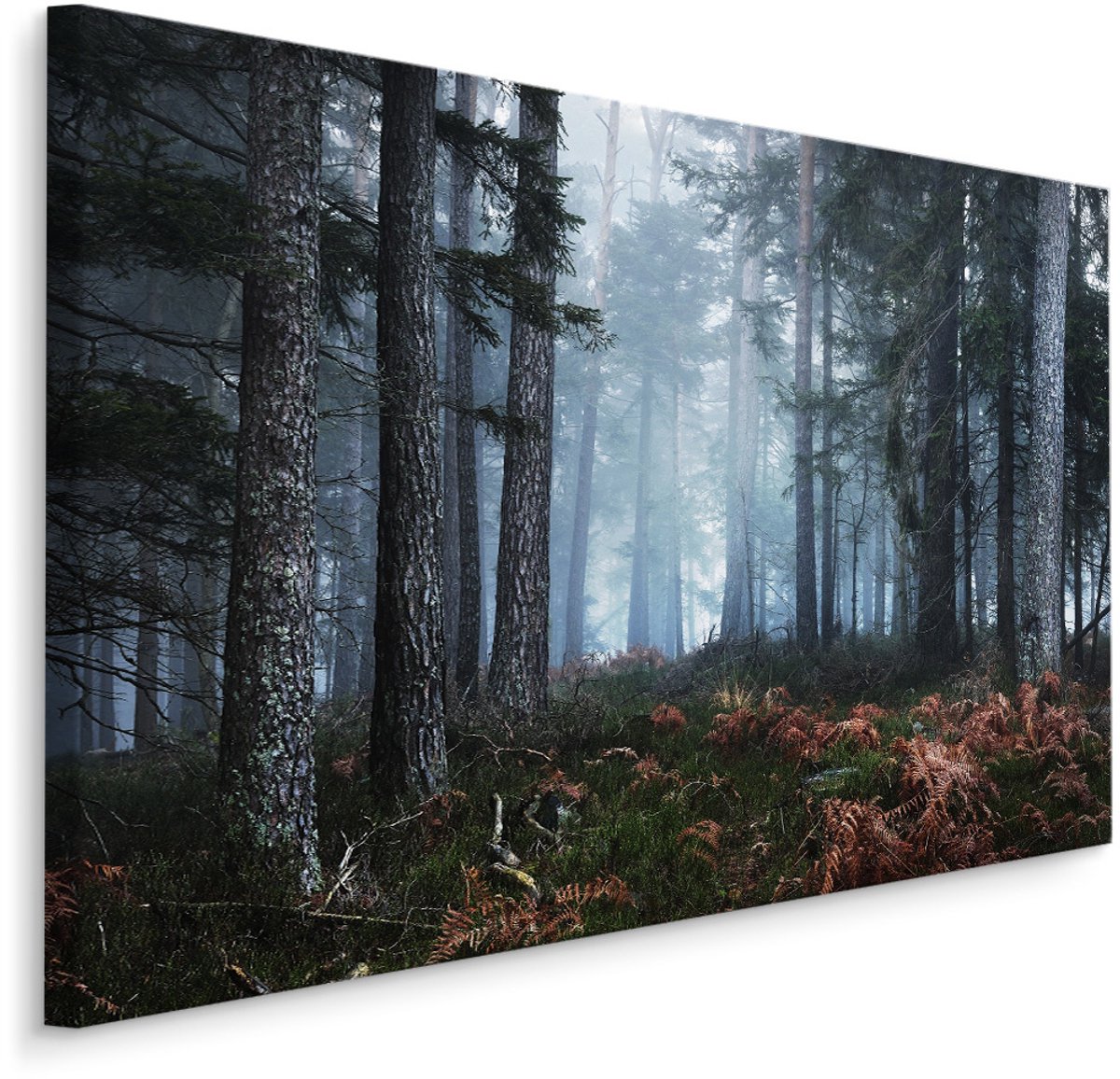 karo-art Schilderij - Bos in de mist, premium print, natuur aan de muur Multikleur