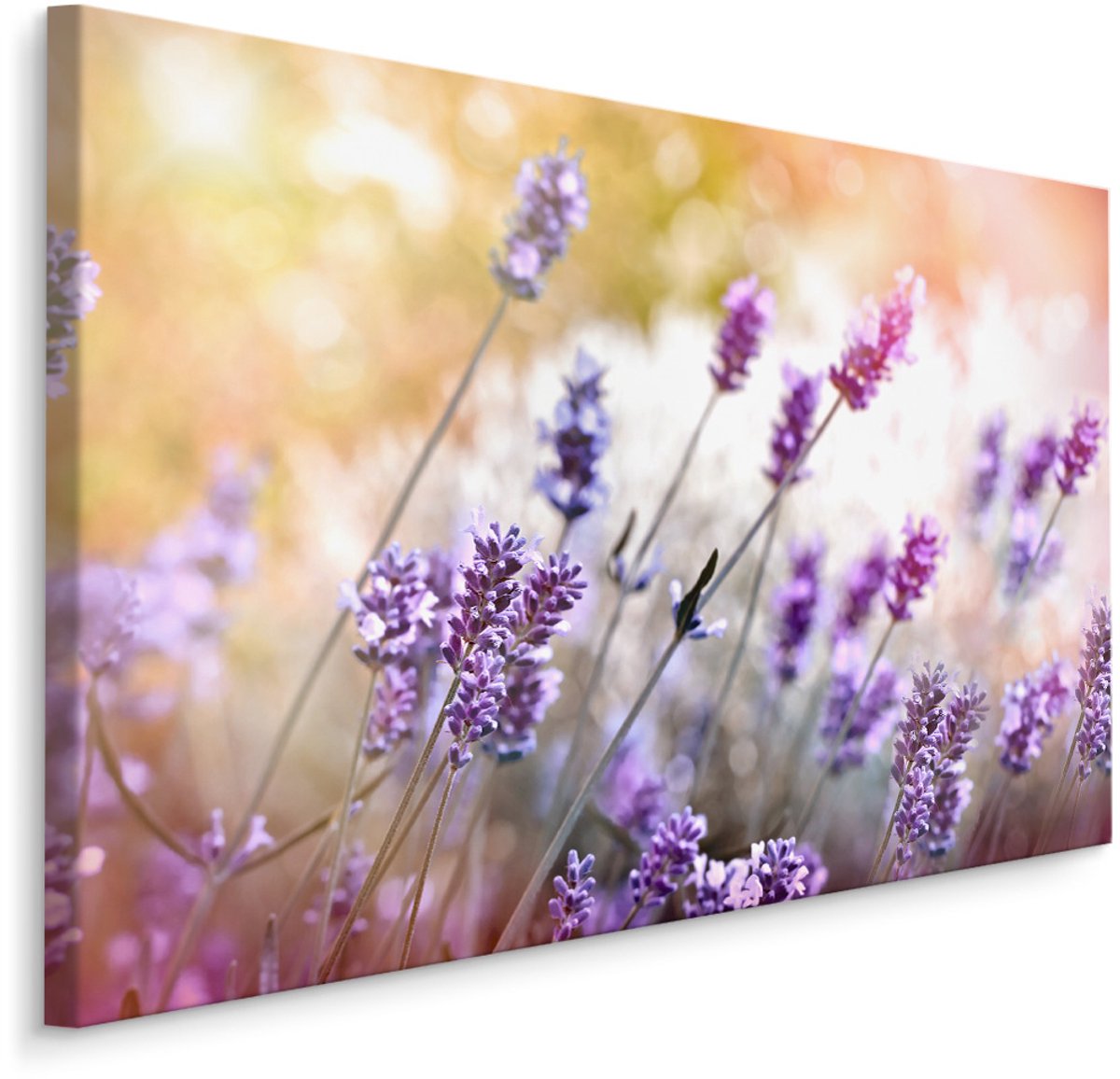 karo-art Schilderij - Lavendel in bloei , Wanddecoratie , Premium print Multikleur