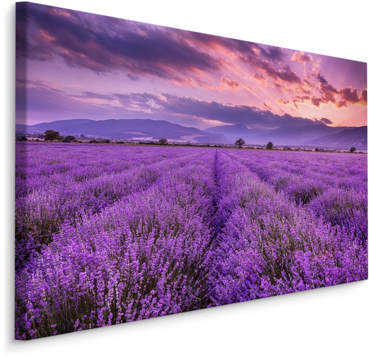 karo-art Schilderij Lavendelveld, paars, 4 maten, wanddecoratie Multikleur
