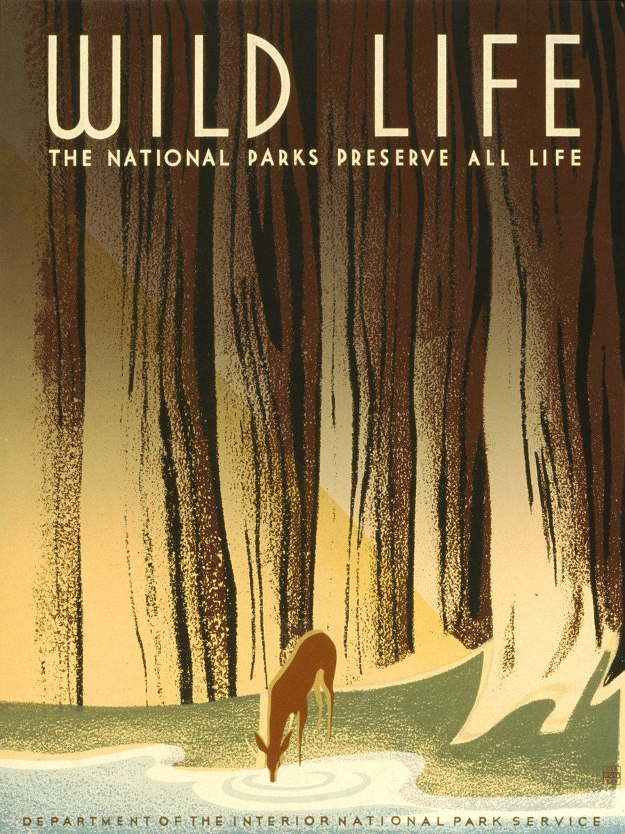 karo-art Poster - Wild Life, 1936 originele poster, 50x70cm, Premium Print, Verpakt in stevige kartonnen rolkoker Multikleur