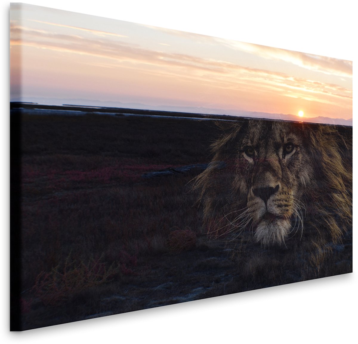 karo-art Schilderij - Leeuw en zonsondergang, prachtig schilderij in 2 beelden, voor woonkamer en slaapkamer, 2 maten, dieren Multikleur