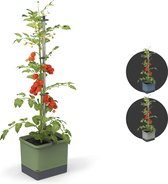 Tomate Growing Box / Kit de culture avec réservoir d'eau et support d'escalade - Tom Tomato (vert foncé)
