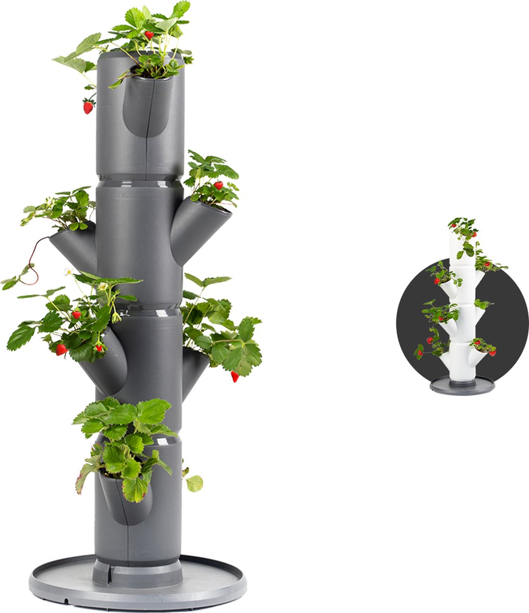 Gusta Garden - Sissi Strawberry - Aardbeien Planten - Aardbeienzak - Kweekbak - Kweektafel - Plantentoren met 4 Levels - Antraciet