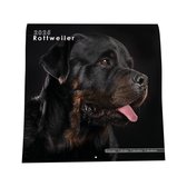 Rottweiler Kalender - 44x22cm - Nietjes kalender - 6 talen - Inclusief boorgaatje - 1 September 2024 t/m 31 December 2025