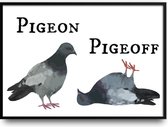 Pigeon Pigeoff fotolijst met glas 50 x 70 cm - Prachtige kwaliteit - duif - vogel - leven - dieren - humor - grappig - Slaapkamer - Woonkamer - Harde lijst - Glazen plaat - inclusief ophangsysteem - Grappige Poster - Foto op hoge kwaliteit uitgeprint