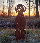 Vizsla - Weimaraner - silhouet hond - cortenstaal - NL product - Ware grootte
