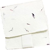 Set van 20 x A5 kaarten Tree Free katoenpapier met asterbloemetjes en bijpassende enveloppen